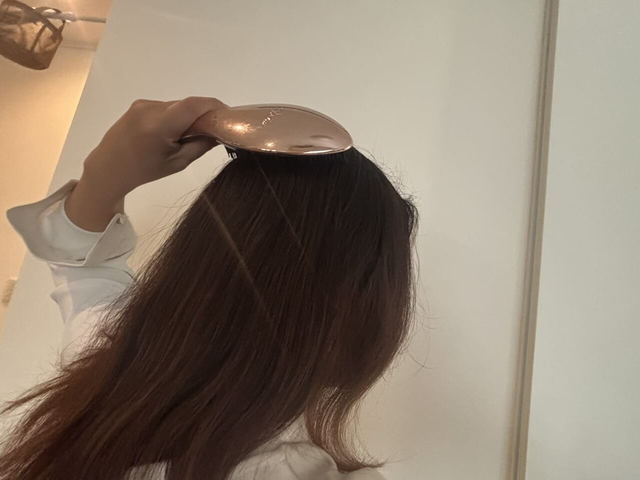 リファエールブラシレビュー使用前